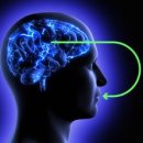 파워라인 이미지