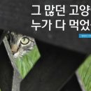 제대로