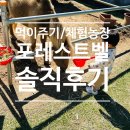 수정농장 | [내돈내산] 용인 먹이주기 카페/체험농장 포레스트벨 직접 가보고 느낀 찐 후기 (재방문 의사?)