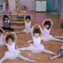 오즈태권도스쿨 이미지