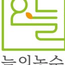 주식회사 오늘 이미지