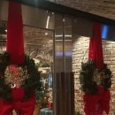 홀리크로스 | 대전 둔산동 홀리크로스 카페 방문 후기🎄