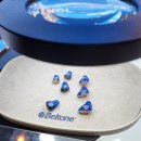 벨톤 보청기(노원지사) 이미지