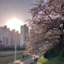 수안컴퍼니