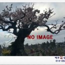 계산길공인중개사사무소 이미지