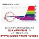 으뜸플러스 안경원 이미지