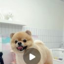 아트댕 이미지