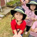 동부어린이집 이미지