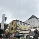 새싹유치원 | 강남새싹 유치원 2026년 유치원설명회 후기