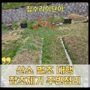 아산 산소 벌초 대행 잡초제거 주변 정리 가족처럼 정성껏 관리완료