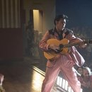 ELVIS 엘비스