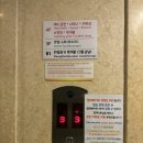 [나트랑 달랏 패키지여행 2일차] 씀모이 가든부터 야시장까지! 먹고 즐기고 힐링한 하루