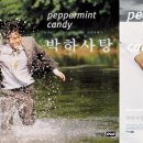 박하향기