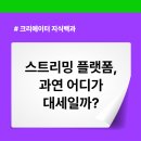 (주)아프리카티비 | 인터넷 방송 플랫폼 종류, 라이브 방송하기 좋은 플랫폼 순위는? feat 치지직, 디스코드, 숲