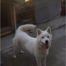 청비농장 이미지