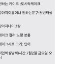 개이크 케이크 이미지
