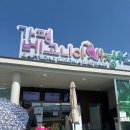 270-2512 | 가평 설악면:)아이랑 갈만한 포토존 가득한곳 "가평 베고니아 새정원" 안에 있는 카페 "수선화"/(24...