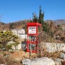 탑피자 벌교점 이미지