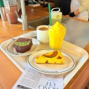 모노클 | 서귀포 카페 맛집 블루리본 아이와 함께 단호박 치즈케이크 모노클제주 후기