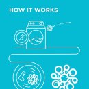 산호세탁 이미지