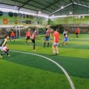 크로스핏 정글 이미지