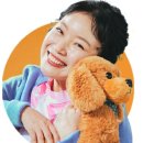 정가축병원 이미지