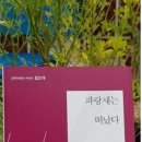 파랑새노래주점