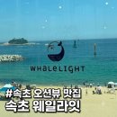 카페 달록 | [속초 여행] 오션뷰와 속초아이를 한눈에 품은 대형 카페 '웨일라잇' 솔직 후기