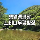 계곡과느티나무 캠핑장 | 영월 느티나무캠핑장 계곡, 수영장, 조식 갓벽해(타프63번)