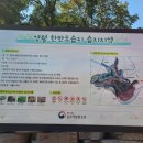 한반도면-14 이미지