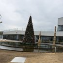 사계절아이스크림할인마켓 | 통도사카페 순지카페 다녀온 후기