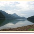 산수목