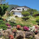 DG481펜션 이미지