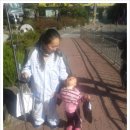 엠알아이 이미지