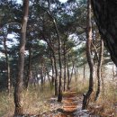 강천산군립공원(강천사) 이미지