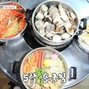 용궁조개 이미지