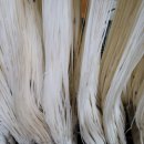 (주)세정기업 이미지