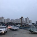 에코피싱주 이미지