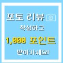 커피원두 당일로스팅 파지아노컴퍼니