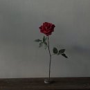 디어파트너 이미지