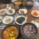 명노형농장 | Jeju