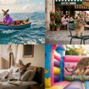 AURA PC cafe 이미지