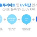 화성안경 이미지