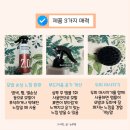 세건바이오 | 엘라스틴 실크테라피 바이오본드 17 케라틴 앰플 사용 후기 손상모 염색모 회복 끝판왕