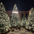 동곡로185번길 | 🎄카페더비 광주 분위기 좋은 광주 크리스마스트리 카페 &amp; 사진 맛집 솔직 후기