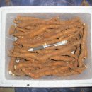 예산읍011 이미지