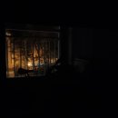 다이아몬드PC방(인-442호) | 2월 셋째주
