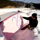 Dragon Park 이미지