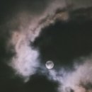 쭈꾸미신화송천점 이미지