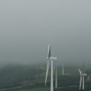 은지목장 이미지